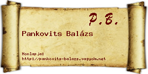 Pankovits Balázs névjegykártya